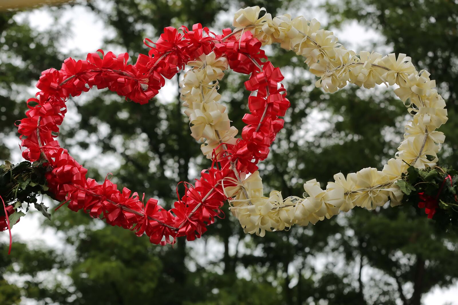 Canon EF 70-200mm F2.8L IS II USM sample photo. Decoration, white, red, hearts photography