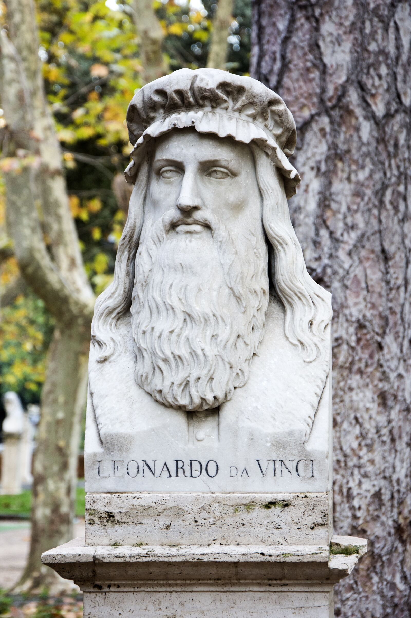 Nikon D7200 sample photo. Davinci, leonardo, rome photography