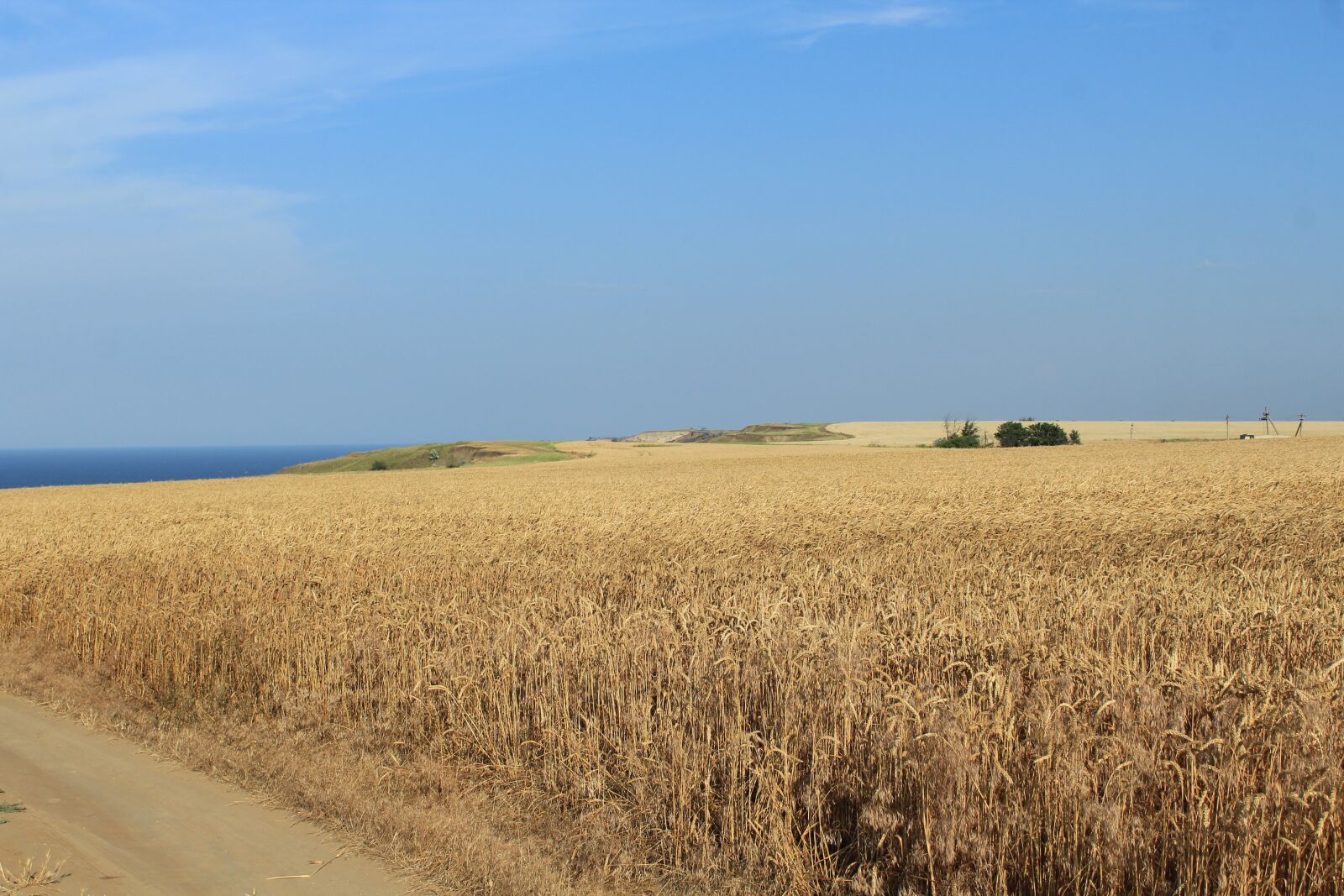 Canon EOS 1200D (EOS Rebel T5 / EOS Kiss X70 / EOS Hi) sample photo. Harvesting, farm, wheat photography