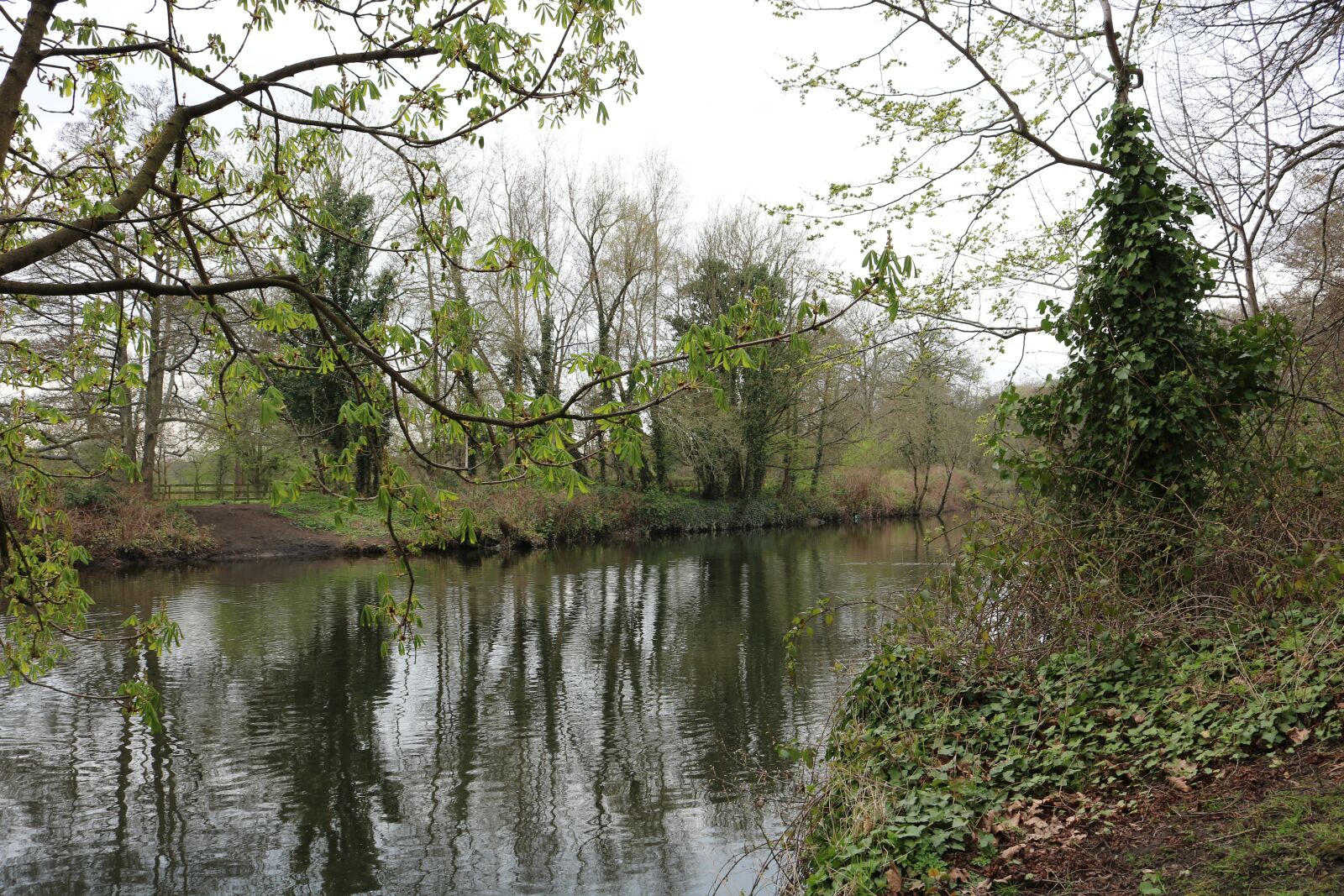 Canon EOS 750D (EOS Rebel T6i / EOS Kiss X8i) sample photo. Landscape, forest, park photography