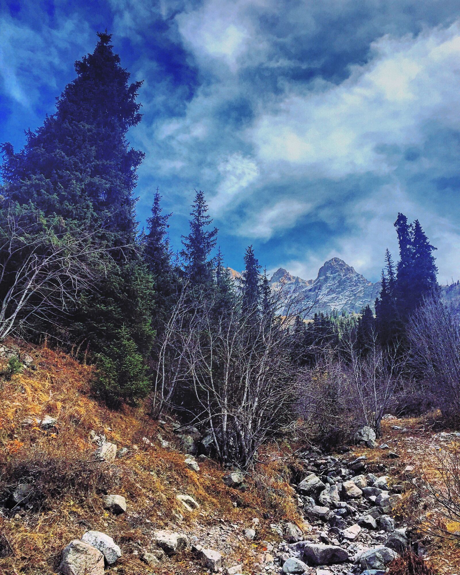 Apple iPhone 6 sample photo. Air, atmosphere, beautiful, colors photography