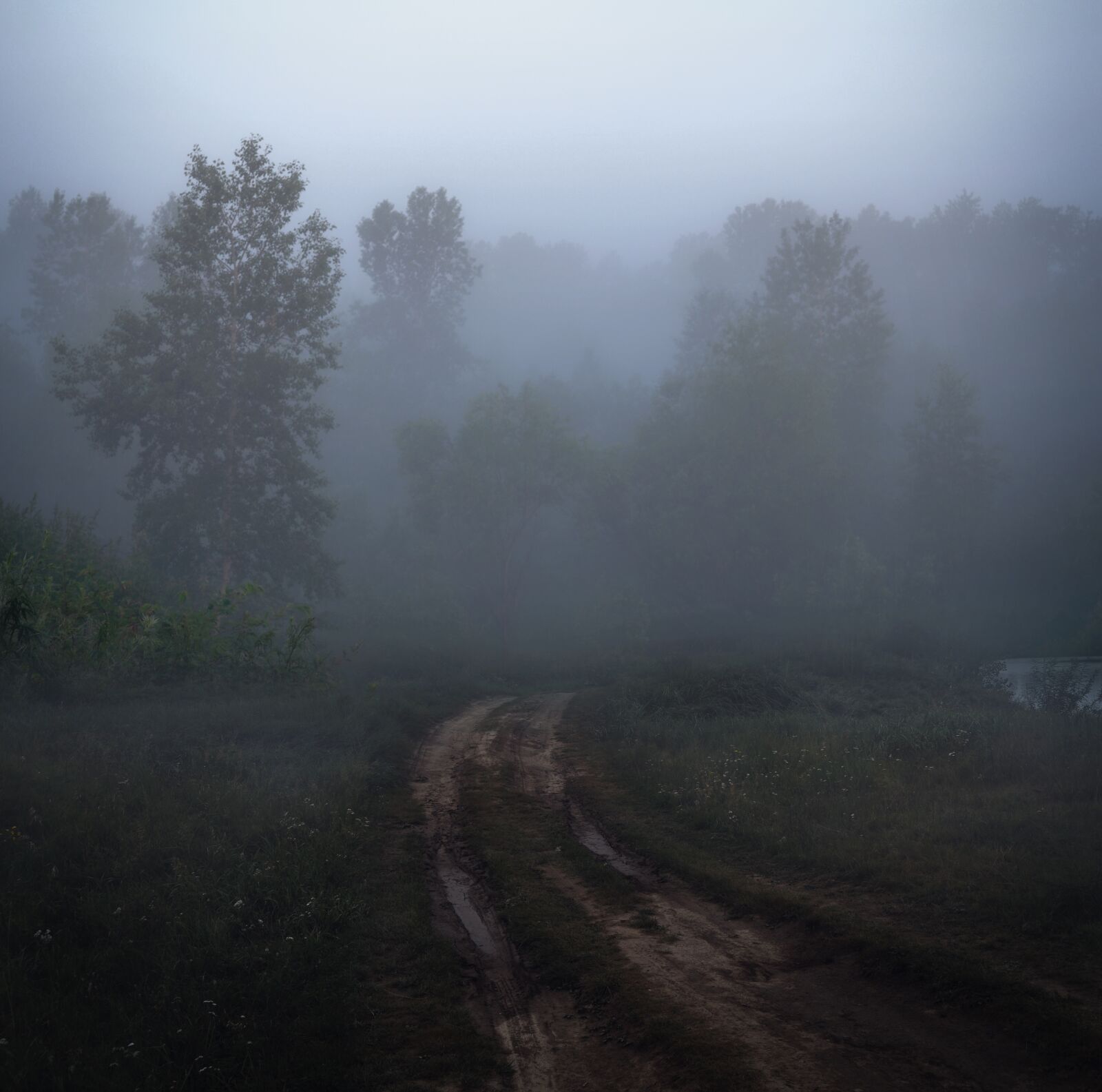 Nikon D5000 sample photo. Morning, fog, road photography