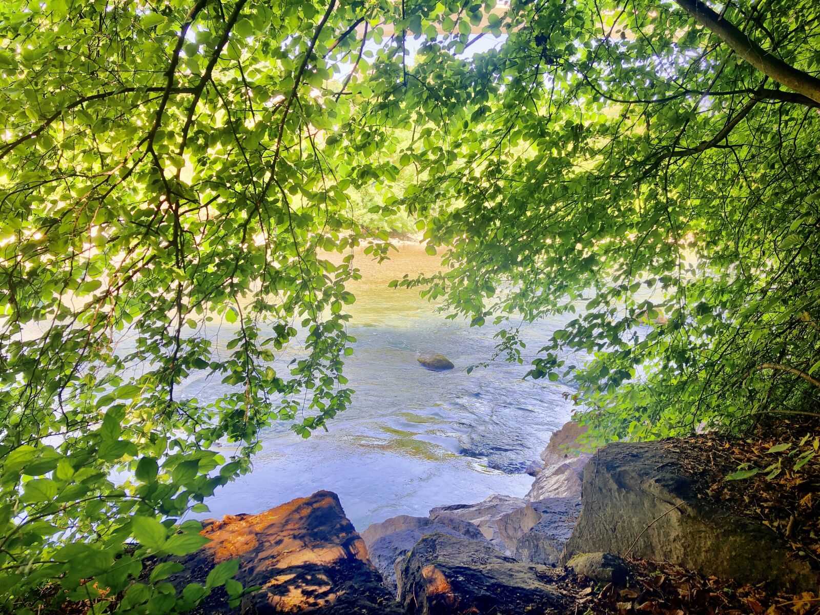 iPhone X back camera 4mm f/1.8 sample photo. Nature, creek, river photography