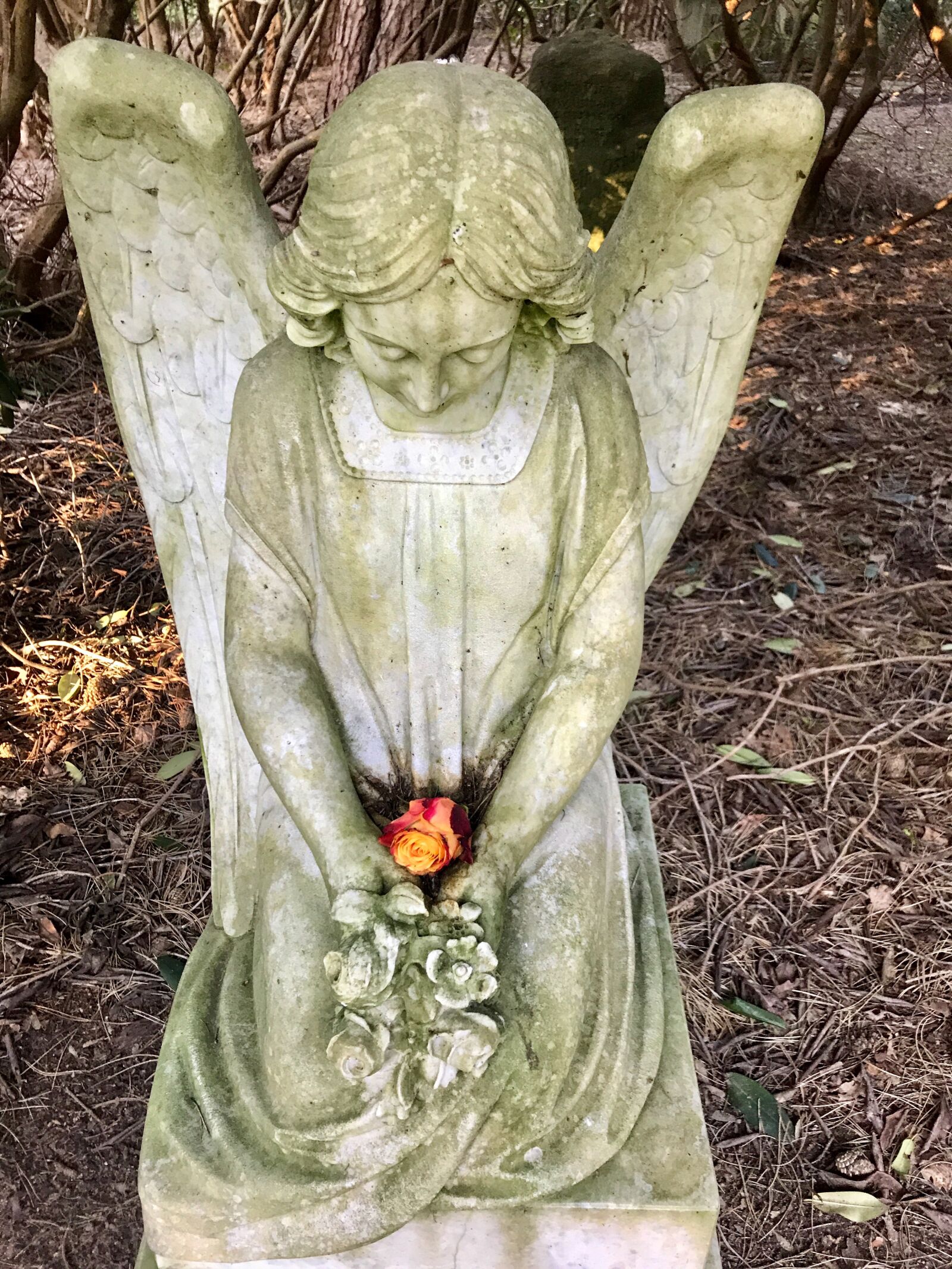 iPhone 7 back camera 3.99mm f/1.8 sample photo. Angel, statue, figure photography