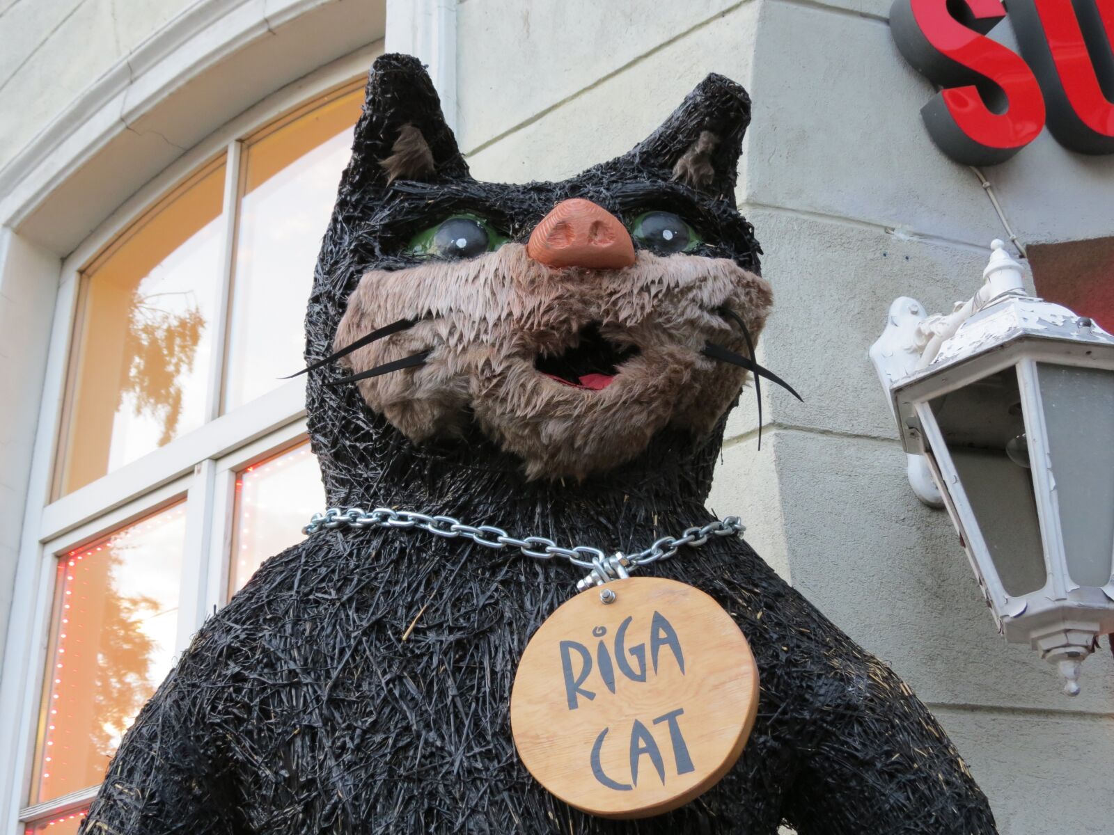 Canon PowerShot SX40 HS sample photo. Cat, riga, baby doll photography