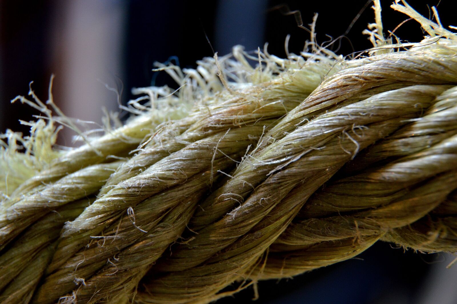Nikon D3200 sample photo. Rope, string, macro photography