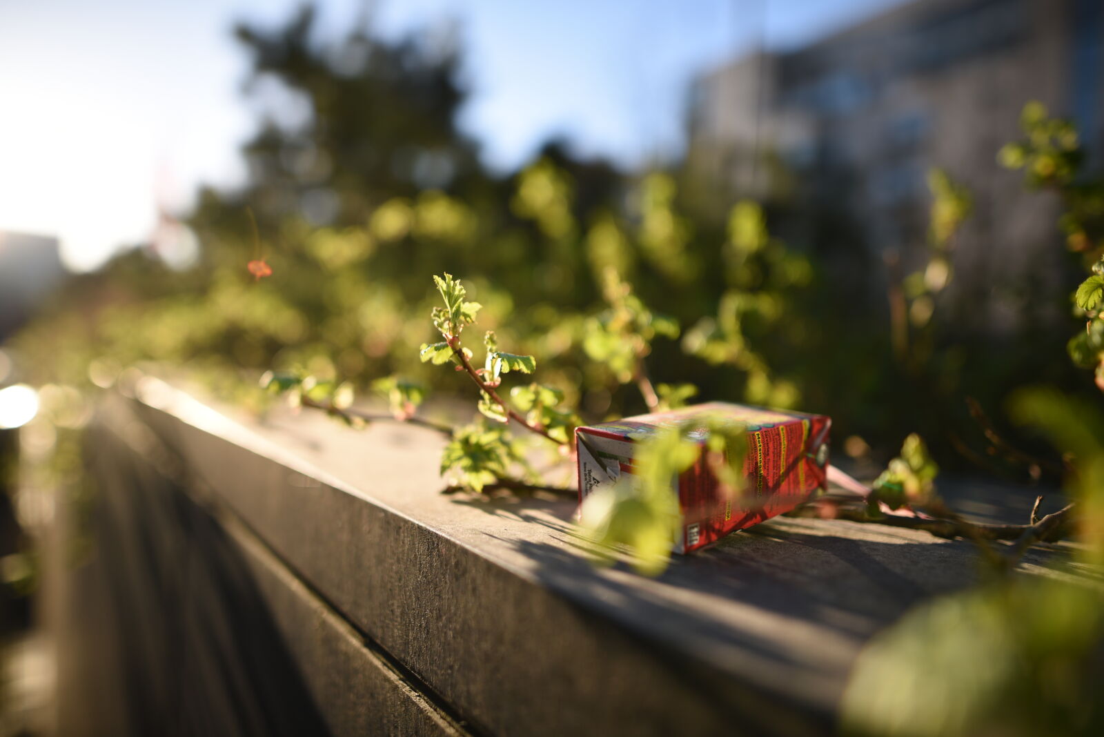 Nikon D810 sample photo. Good morning spring photography