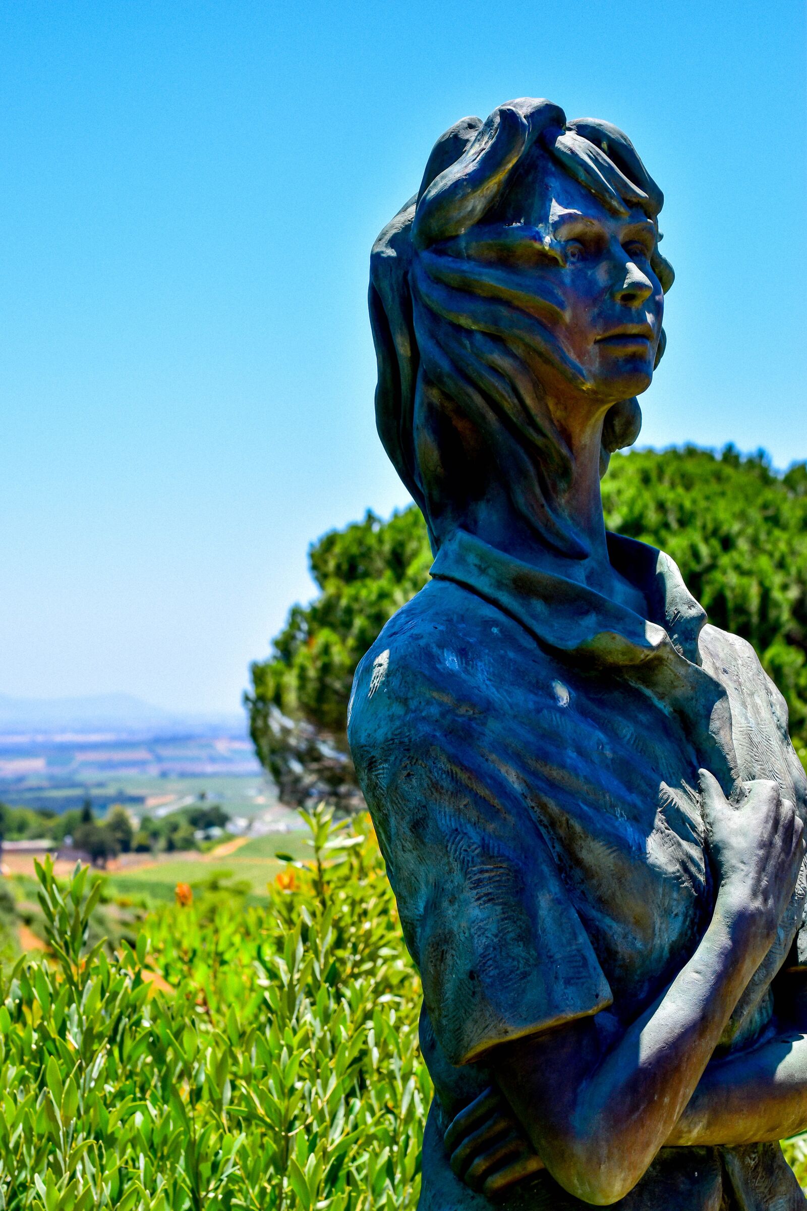 Nikon D5500 sample photo. Hidden valley wines, south photography