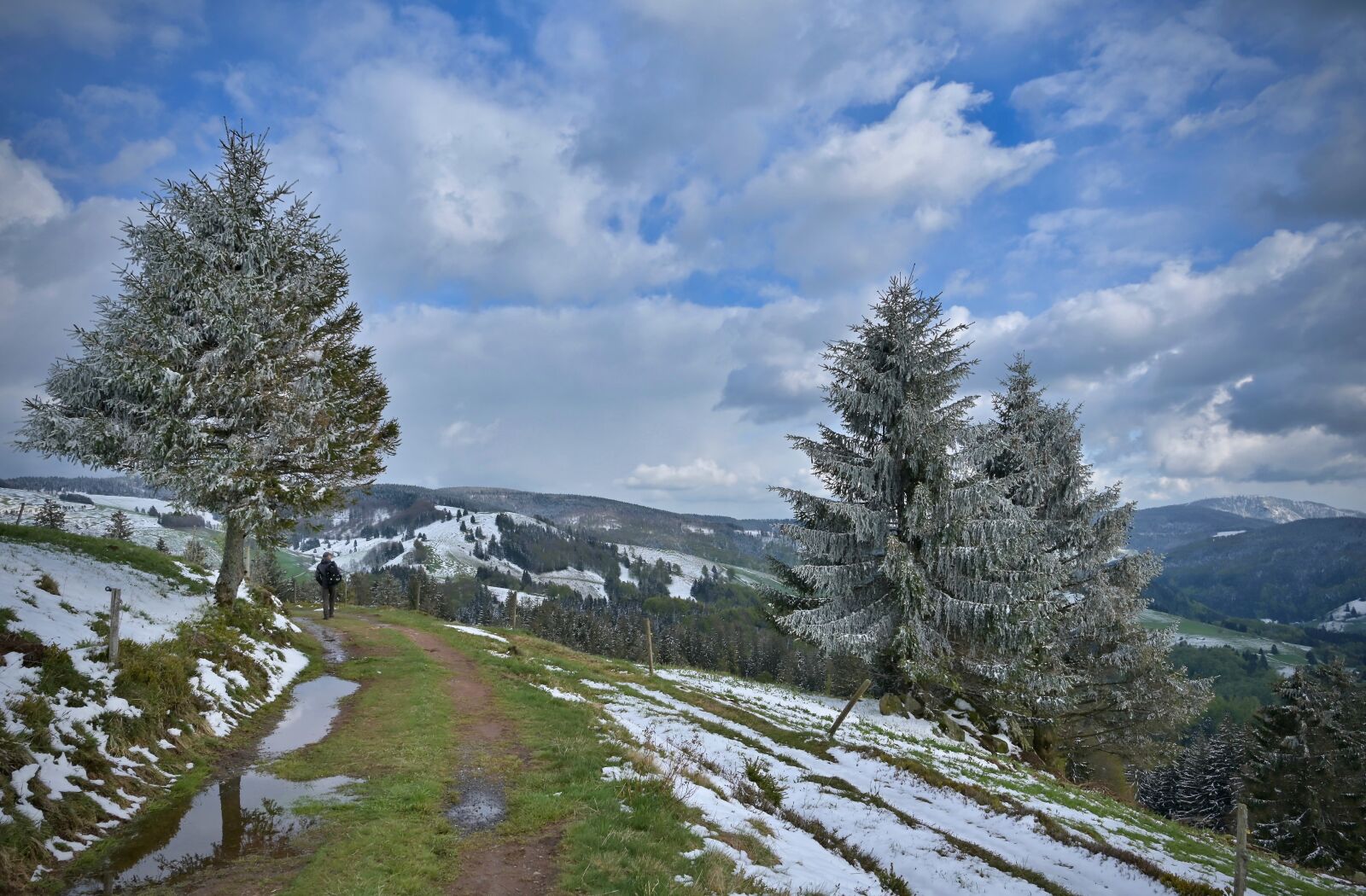 Nikon Z6 + Nikon Nikkor Z 24-70mm F4 S sample photo. Landscape, trail, path photography