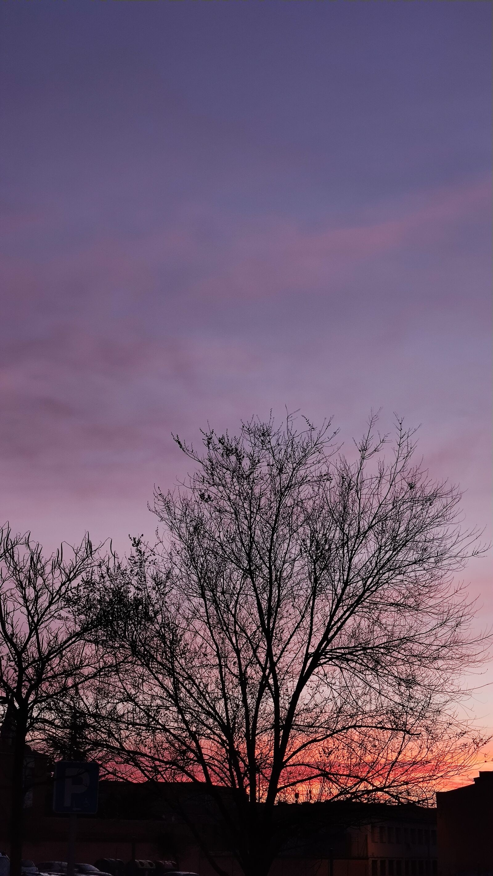 Xiaomi Mi Note 10 sample photo. Sunset, sky, tree photography