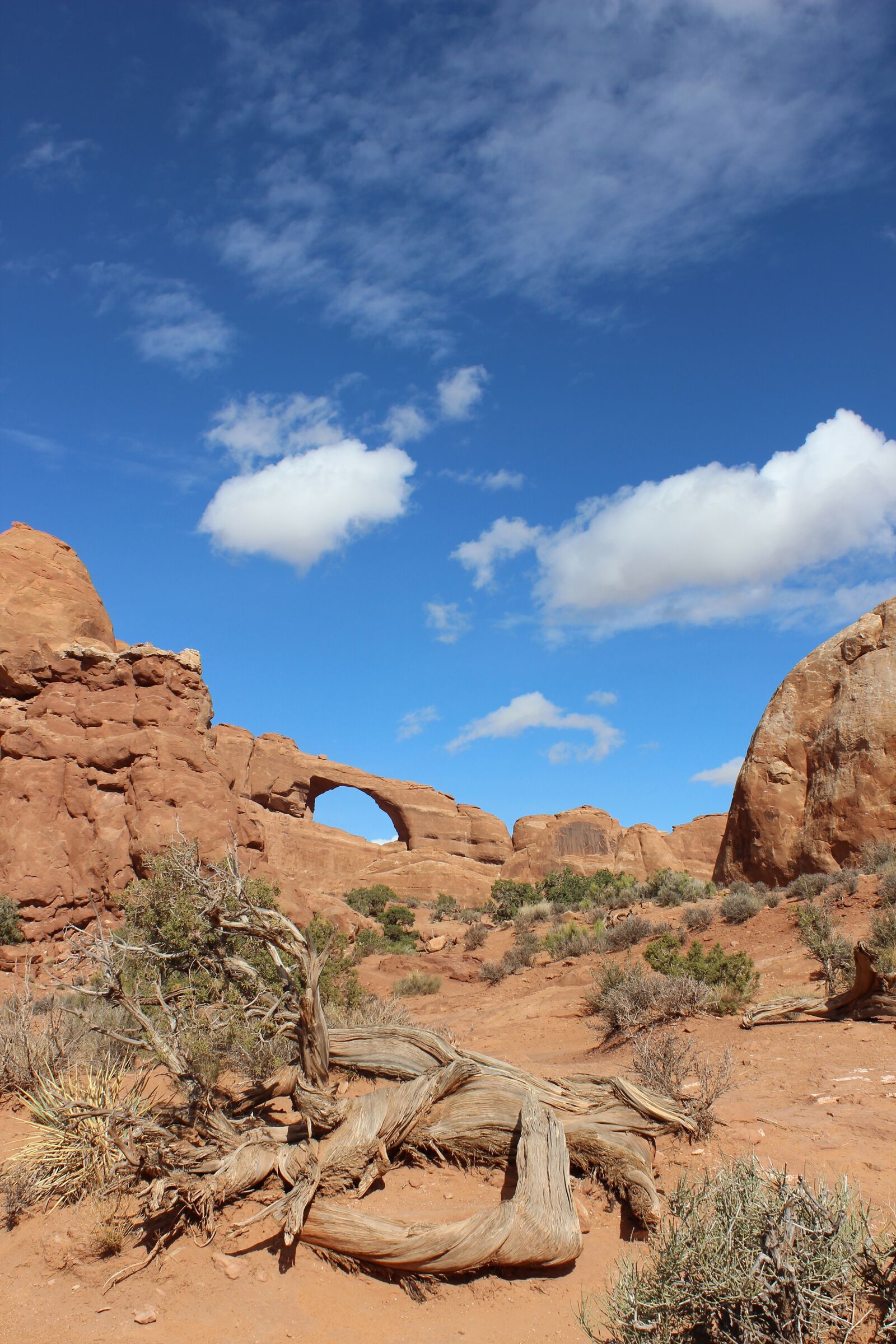 Canon EOS 600D (Rebel EOS T3i / EOS Kiss X5) sample photo. Southwest, desert, landscape photography
