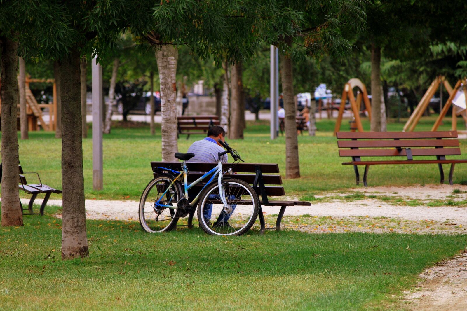Nikon D60 sample photo. Solitude, bench, man photography