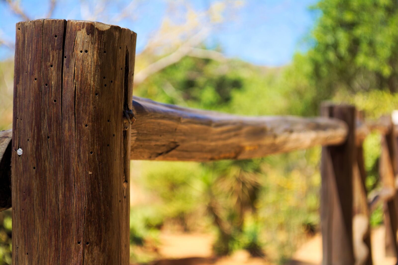 Nikon D5200 sample photo. Handrail, ladder, access photography