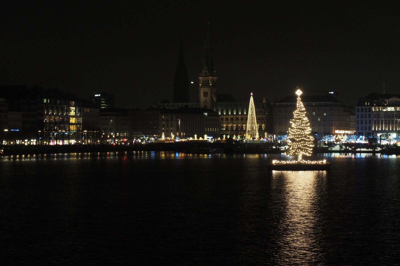 Olympus OM-D E-M5 II + OLYMPUS M.12-50mm F3.5-6.3 sample photo. Alster, christmas, tree photography