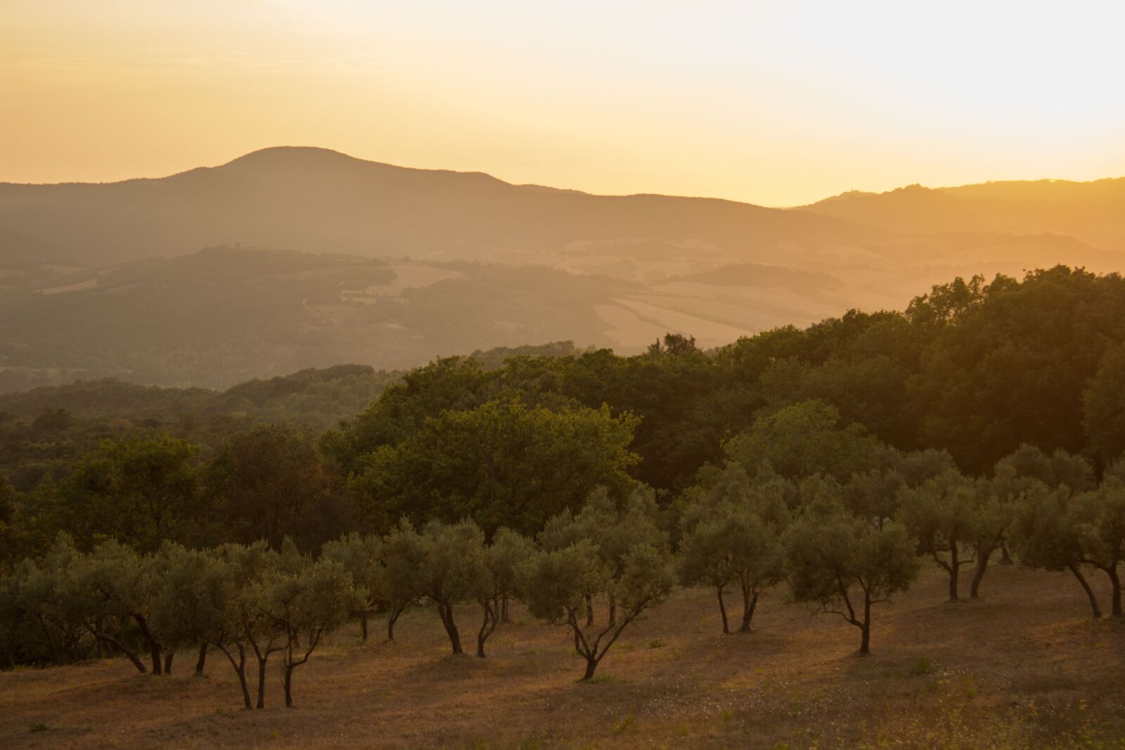 Canon EOS 600D (Rebel EOS T3i / EOS Kiss X5) sample photo. Landscape, italy, tuscany photography