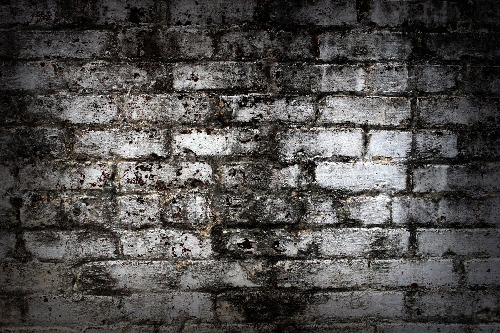 Canon EOS 20D sample photo. Wall, brick, texture photography