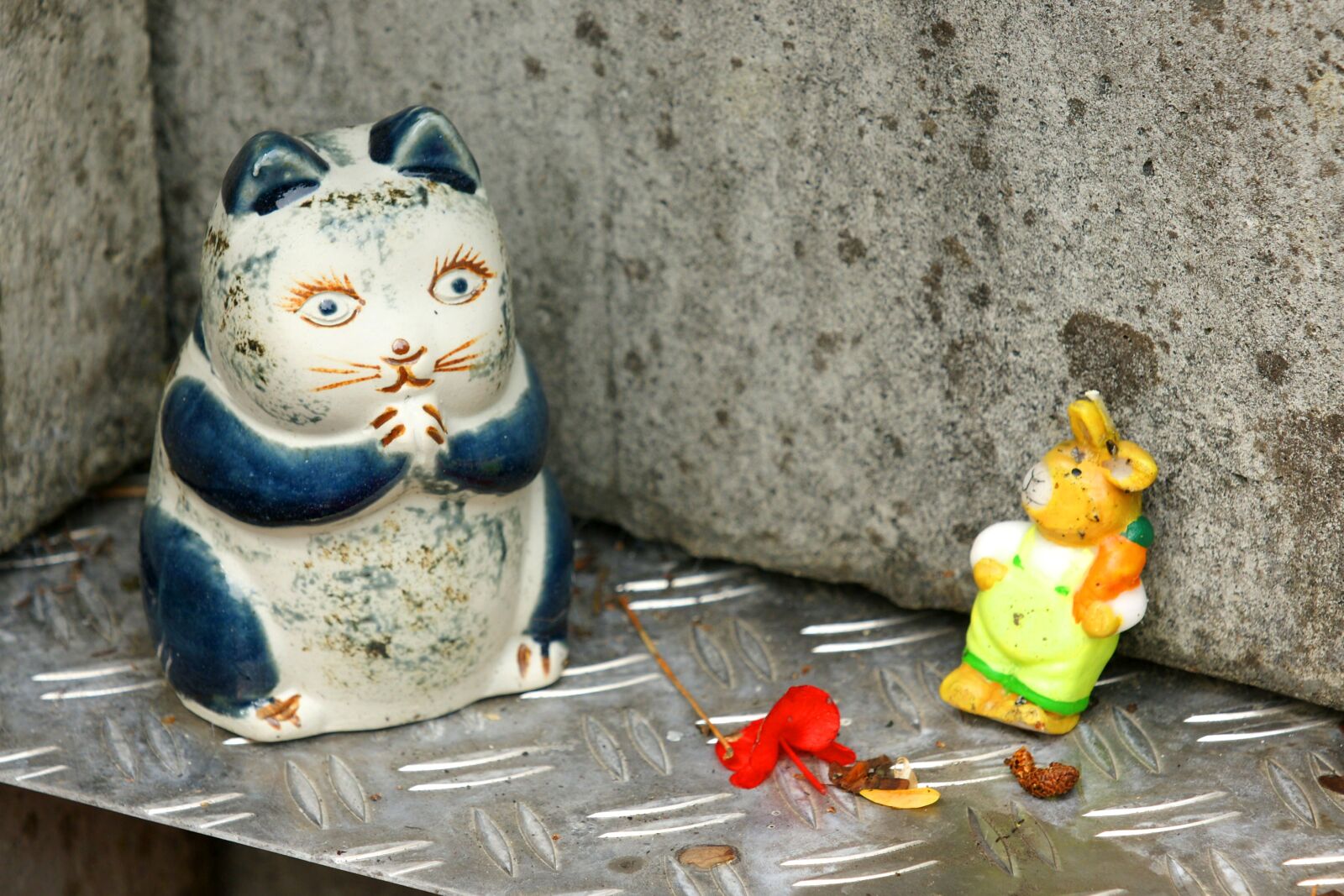 Sony Alpha DSLR-A700 sample photo. Cat, hare, deco photography