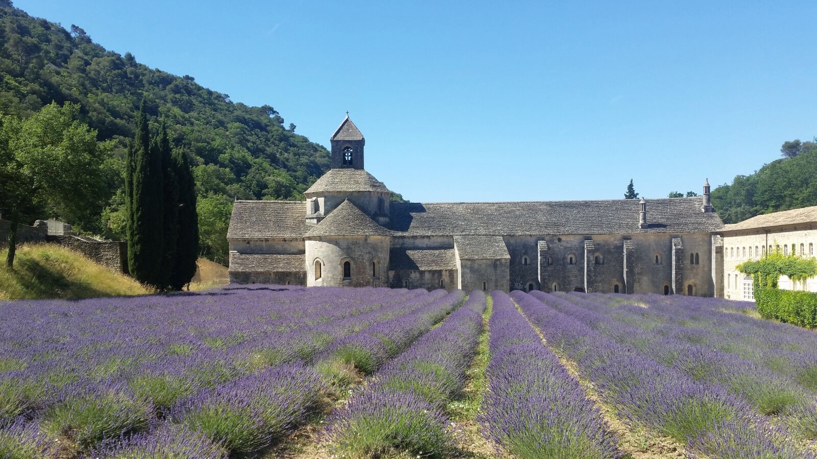 Samsung Galaxy S5 sample photo. Abbaye, sénanque, provence photography