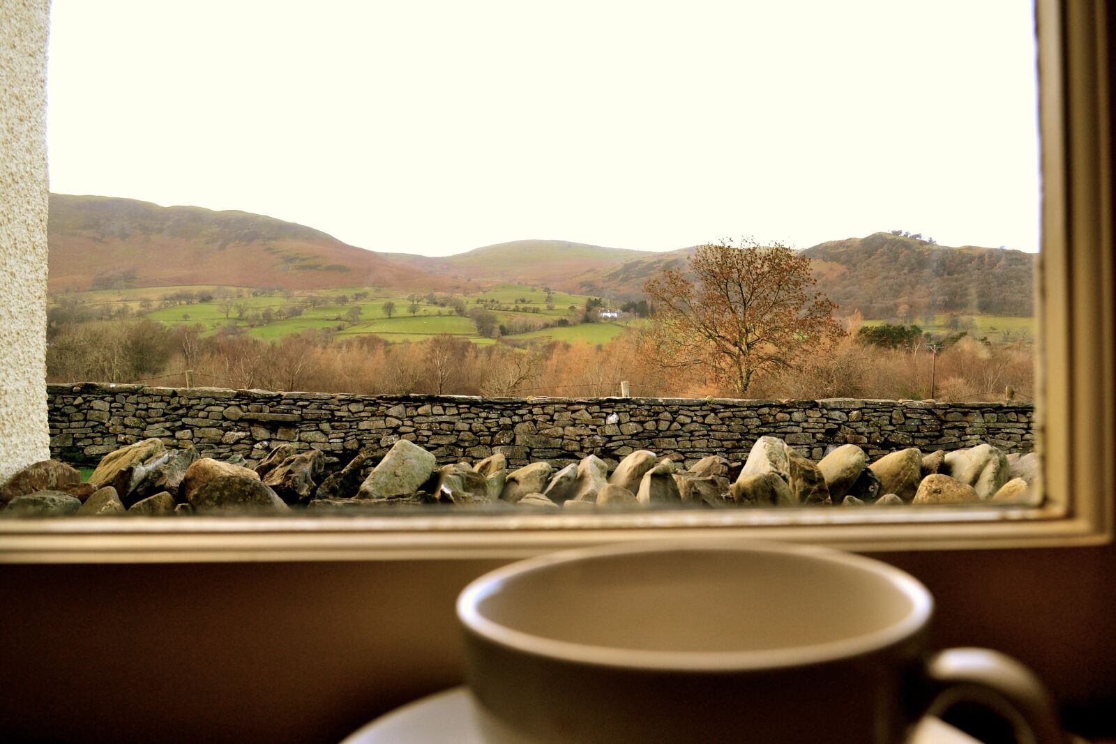 Nikon D3100 sample photo. Cup, window, optimistic photography