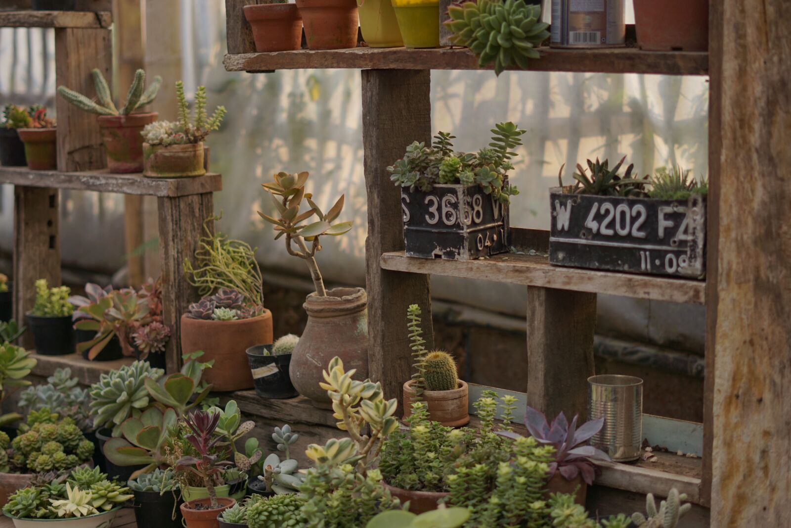 Sony FE 50mm F1.8 sample photo. Nature, cafe, natural photography