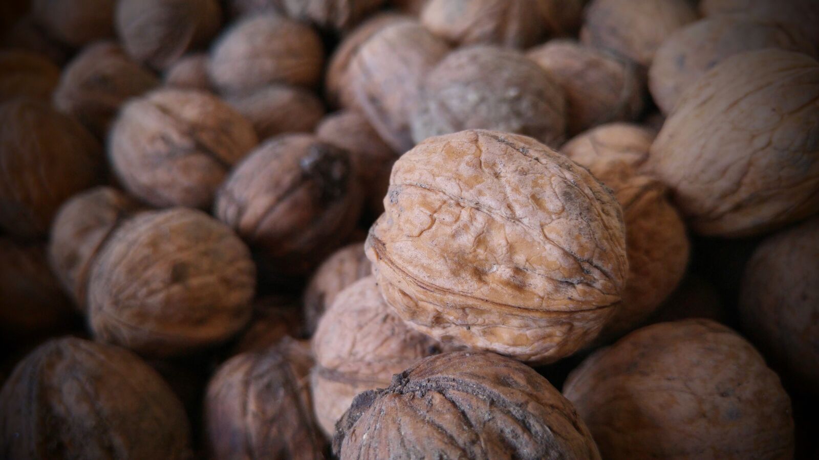 LG G4 sample photo. Walnut, autumn, crop photography