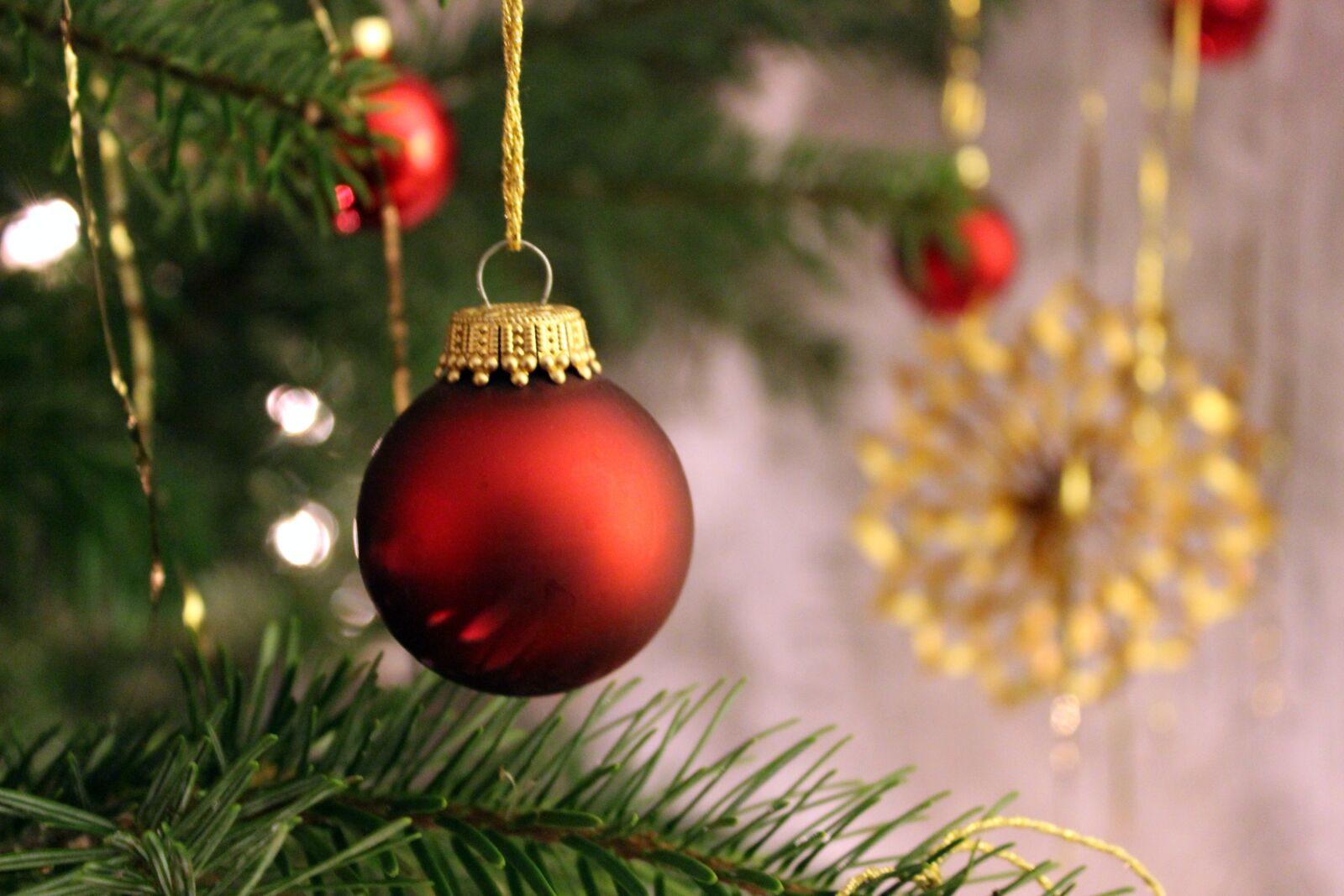 Canon EOS 600D (Rebel EOS T3i / EOS Kiss X5) sample photo. Christmas, holly, decoration photography