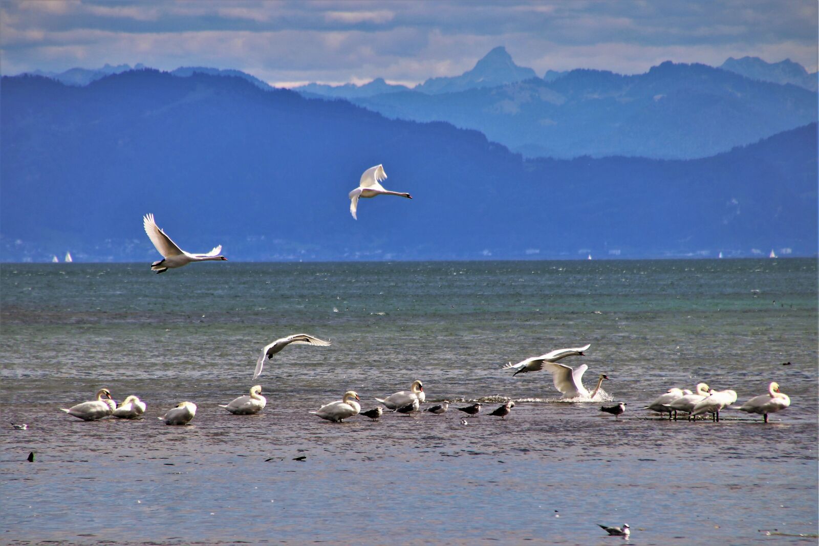 Canon EOS 80D sample photo. Lake, water, white photography