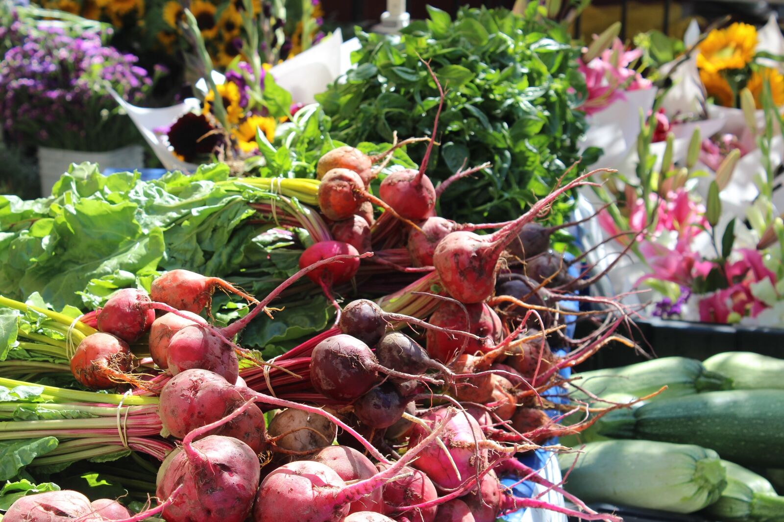 Canon EOS 600D (Rebel EOS T3i / EOS Kiss X5) sample photo. Beets, farmers market, flowers photography