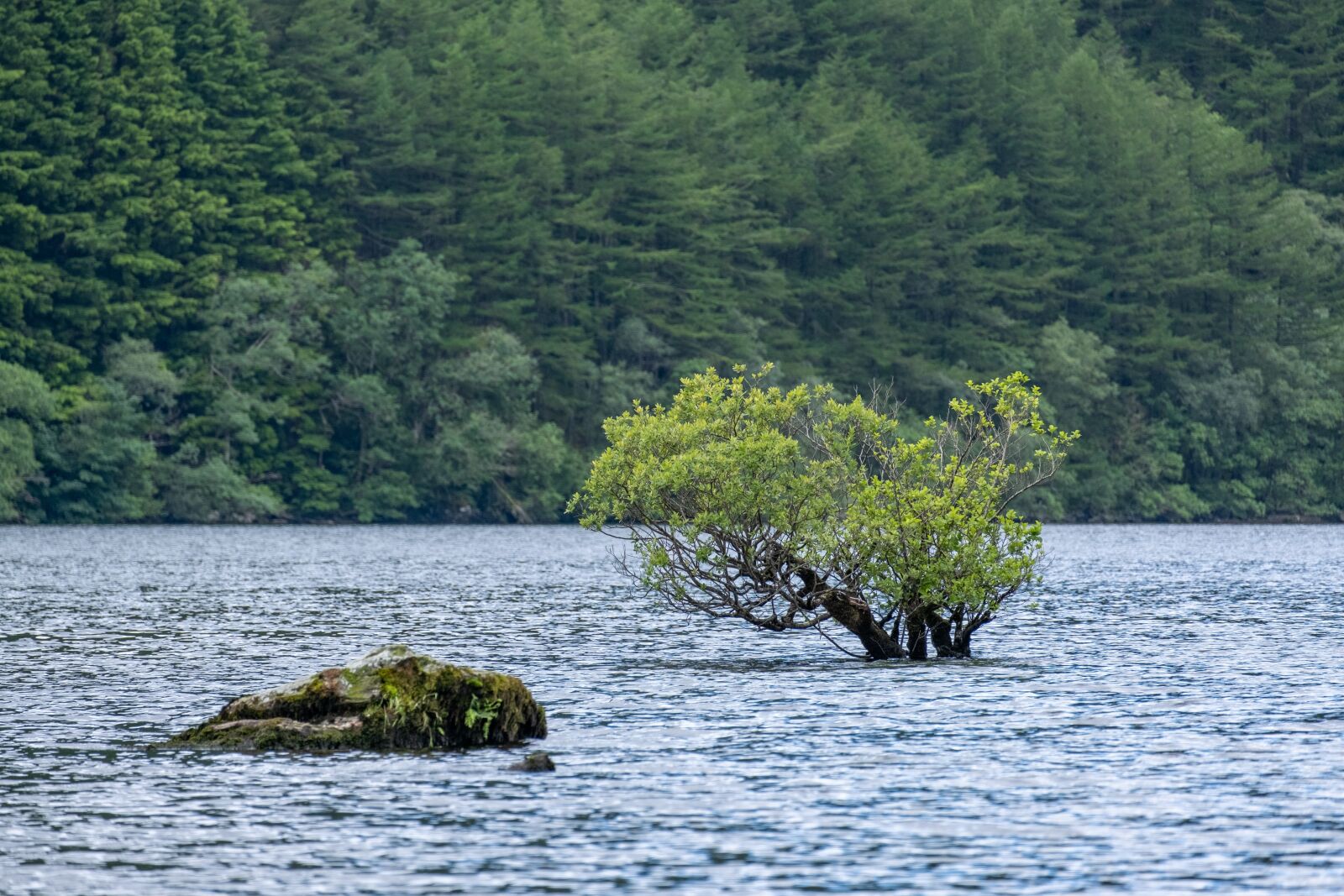 Fujifilm XC 50-230mm F4.5-6.7 OIS II sample photo. Loch eck, loch, scotland photography