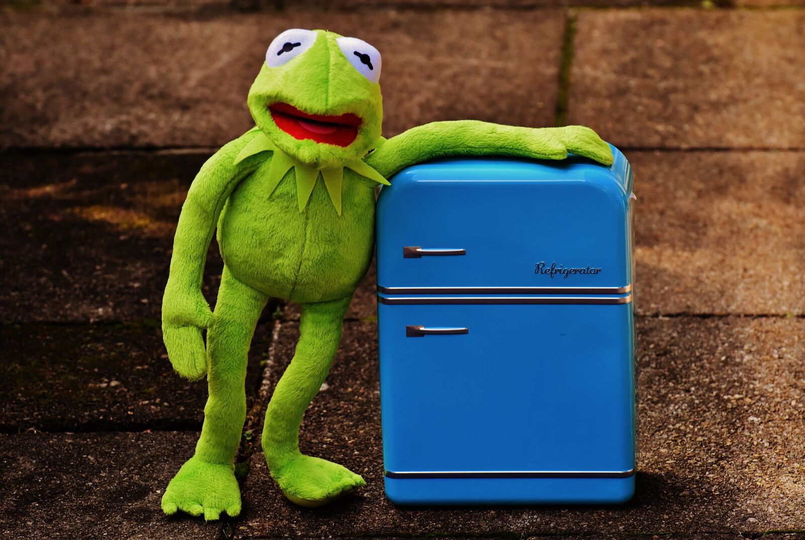 Nikon D7200 sample photo. Kermit, frog, refrigerator photography