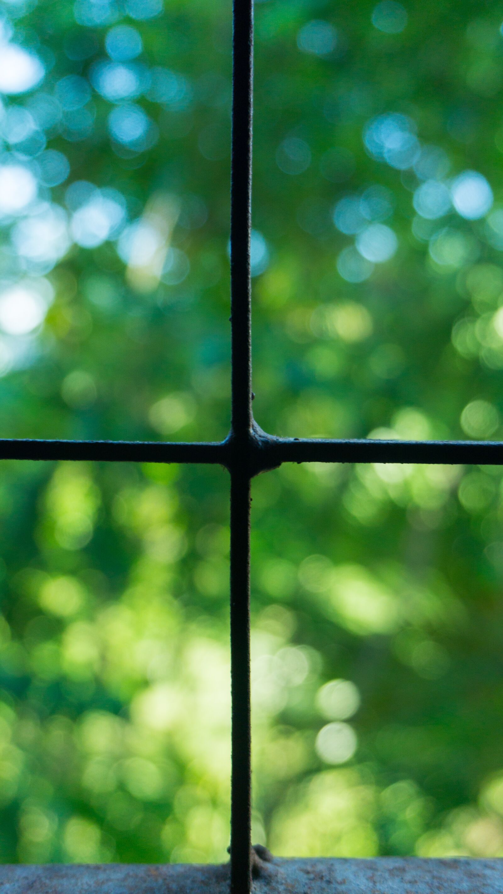 Sony a6000 sample photo. Windows, square, view photography