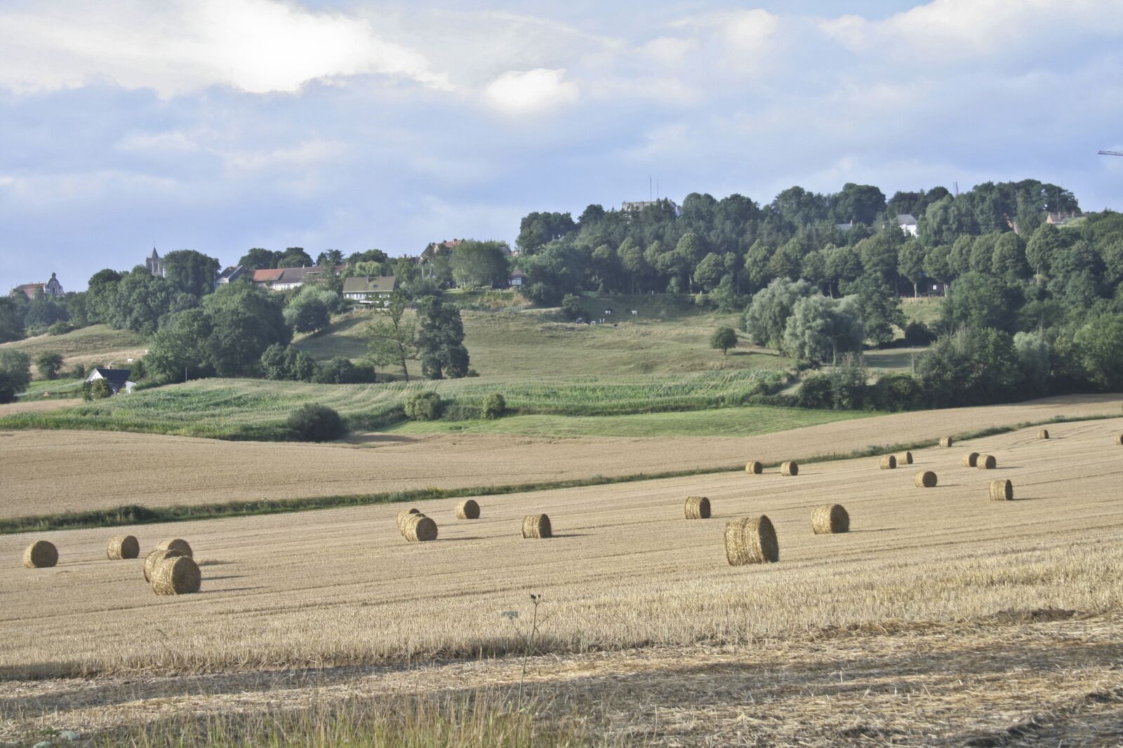 Canon EOS 350D (EOS Digital Rebel XT / EOS Kiss Digital N) sample photo. Cassel, france, harvest photography