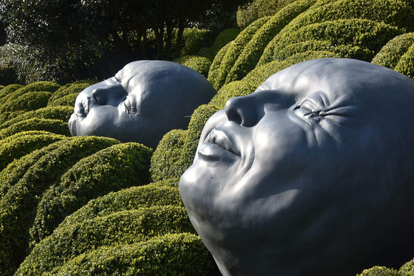 Nikon D810 sample photo. Garden, etretat, france photography
