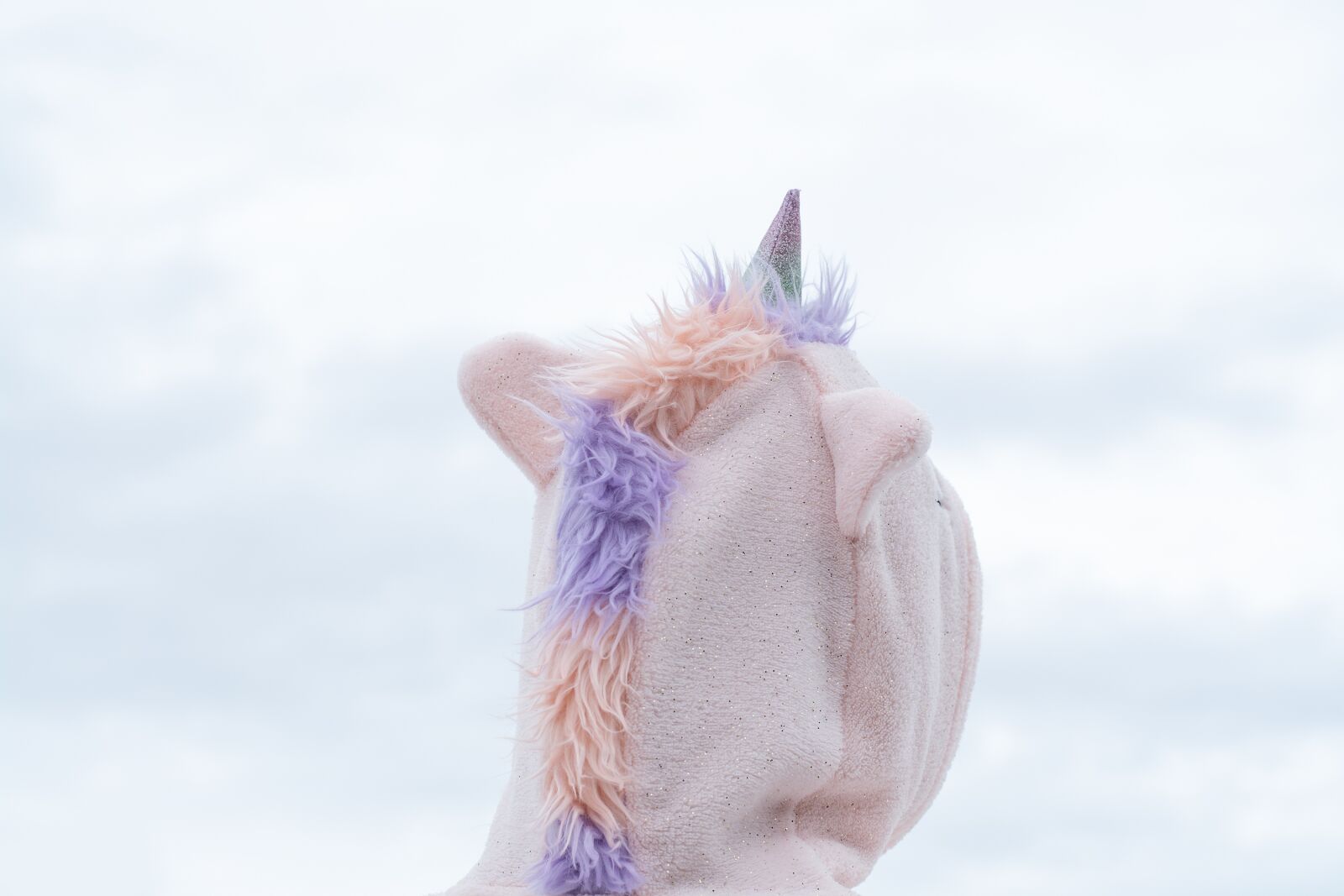 Nikon D7100 sample photo. Unicorn, costume, carnival photography
