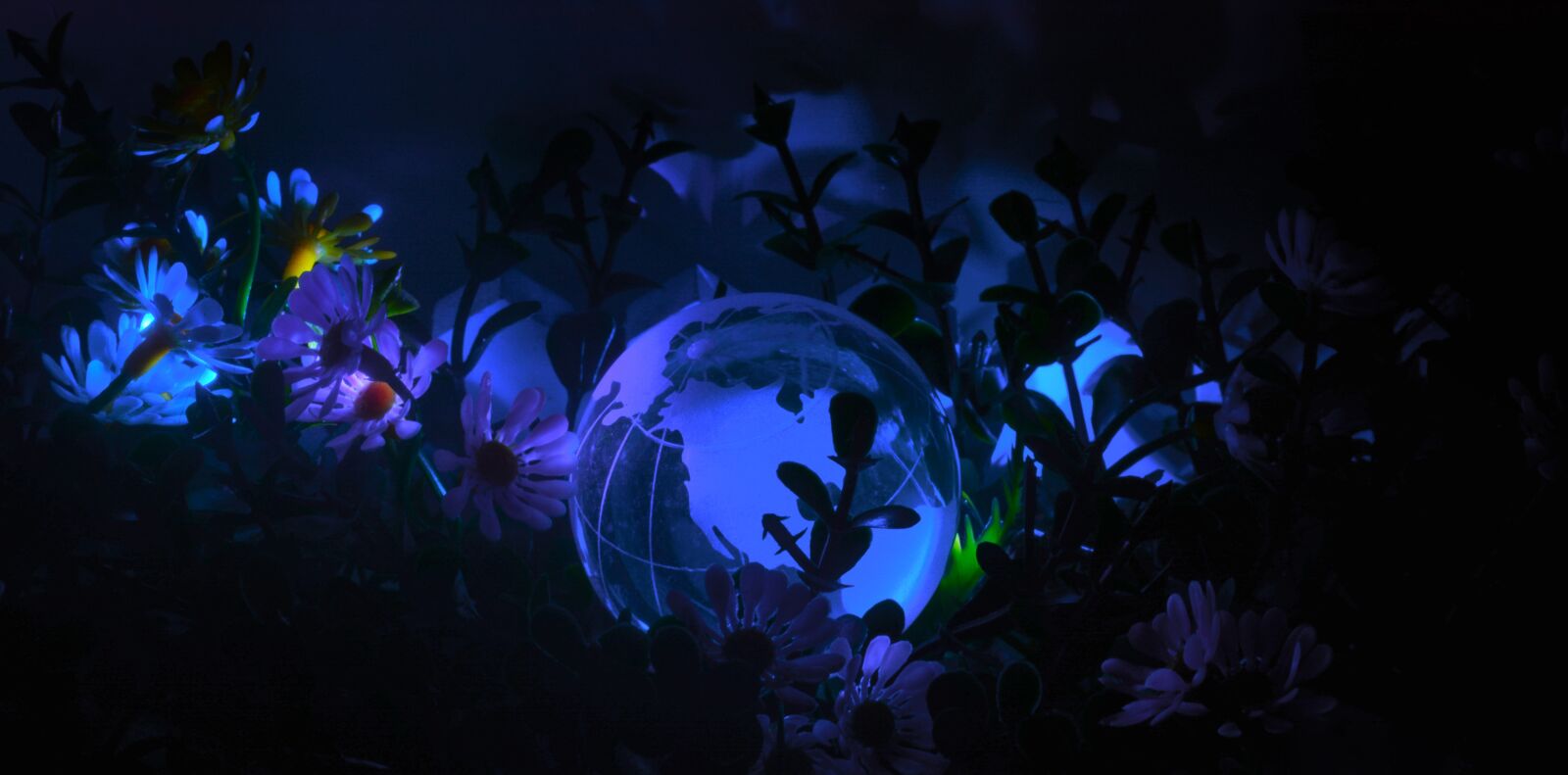 Nikon D5200 sample photo. Desktop, nature, underwater photography