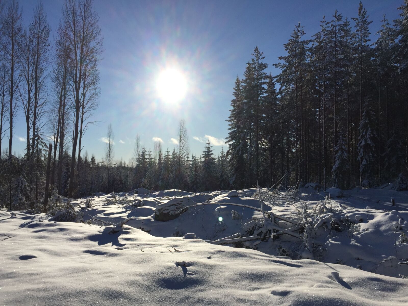 Apple iPhone 6 sample photo. Sun, snow, winter photography