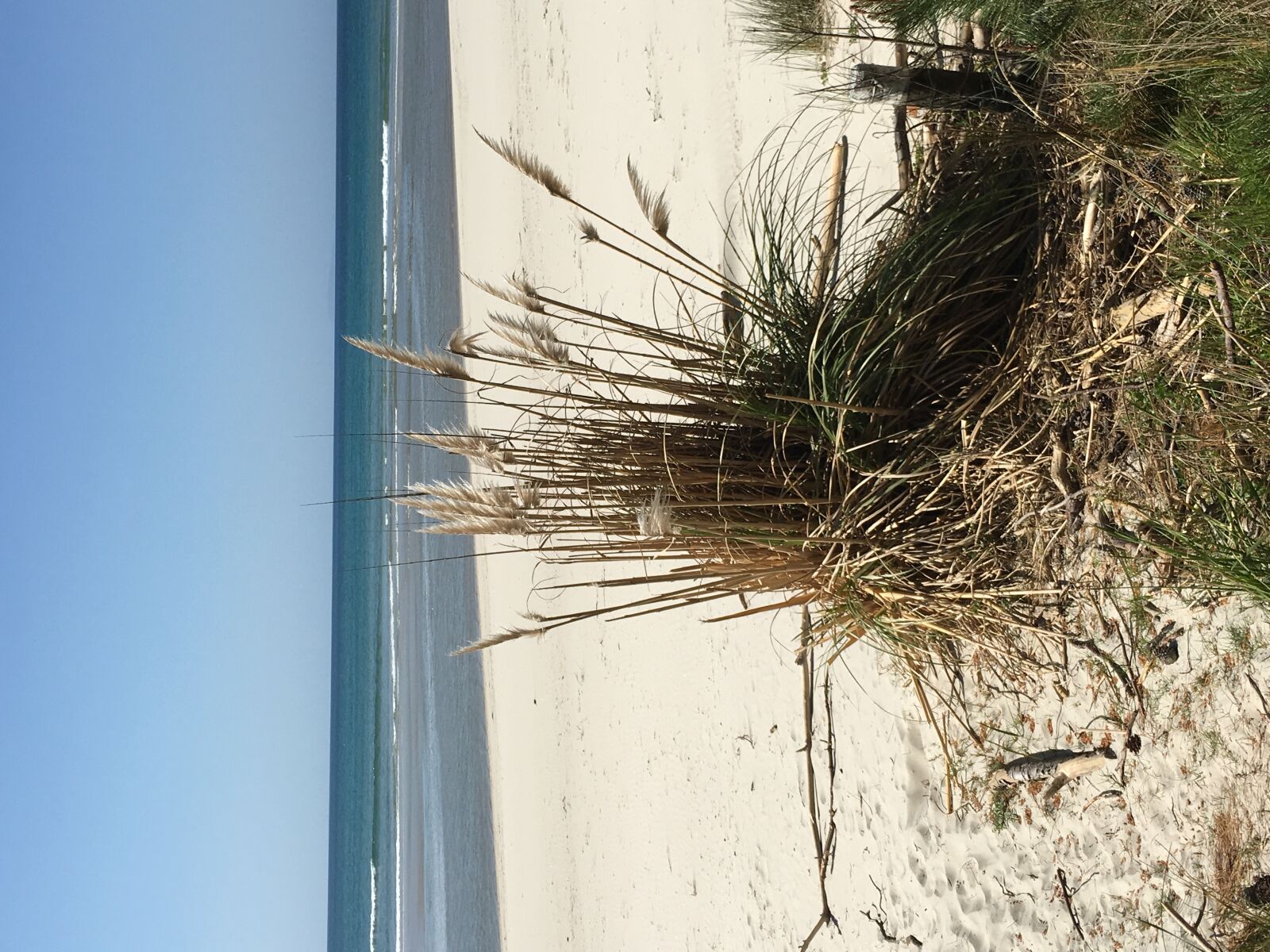 Apple iPhone 6s sample photo. Beach, peace, sea, seashore photography