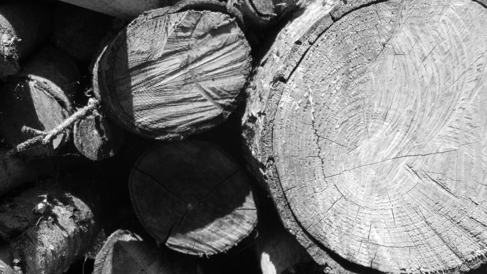 Nikon Coolpix S70 sample photo. Wood, black and white photography