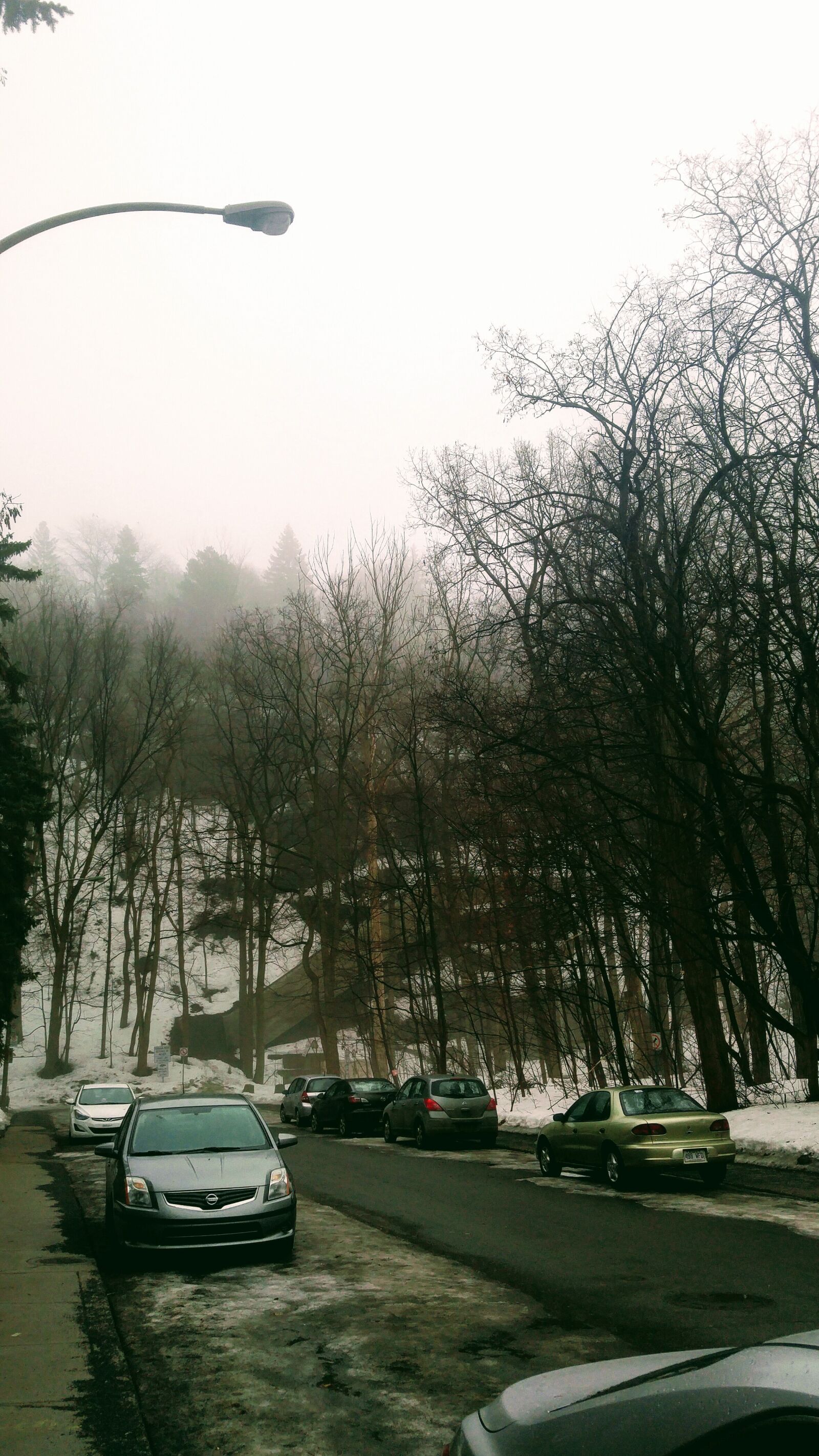 LG G4 sample photo. Foggy, street, cars photography