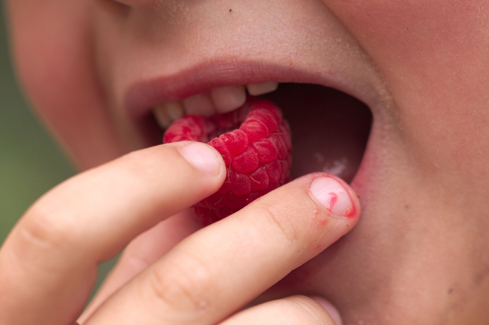 Canon EOS 40D sample photo. Child, raspberry, summer photography