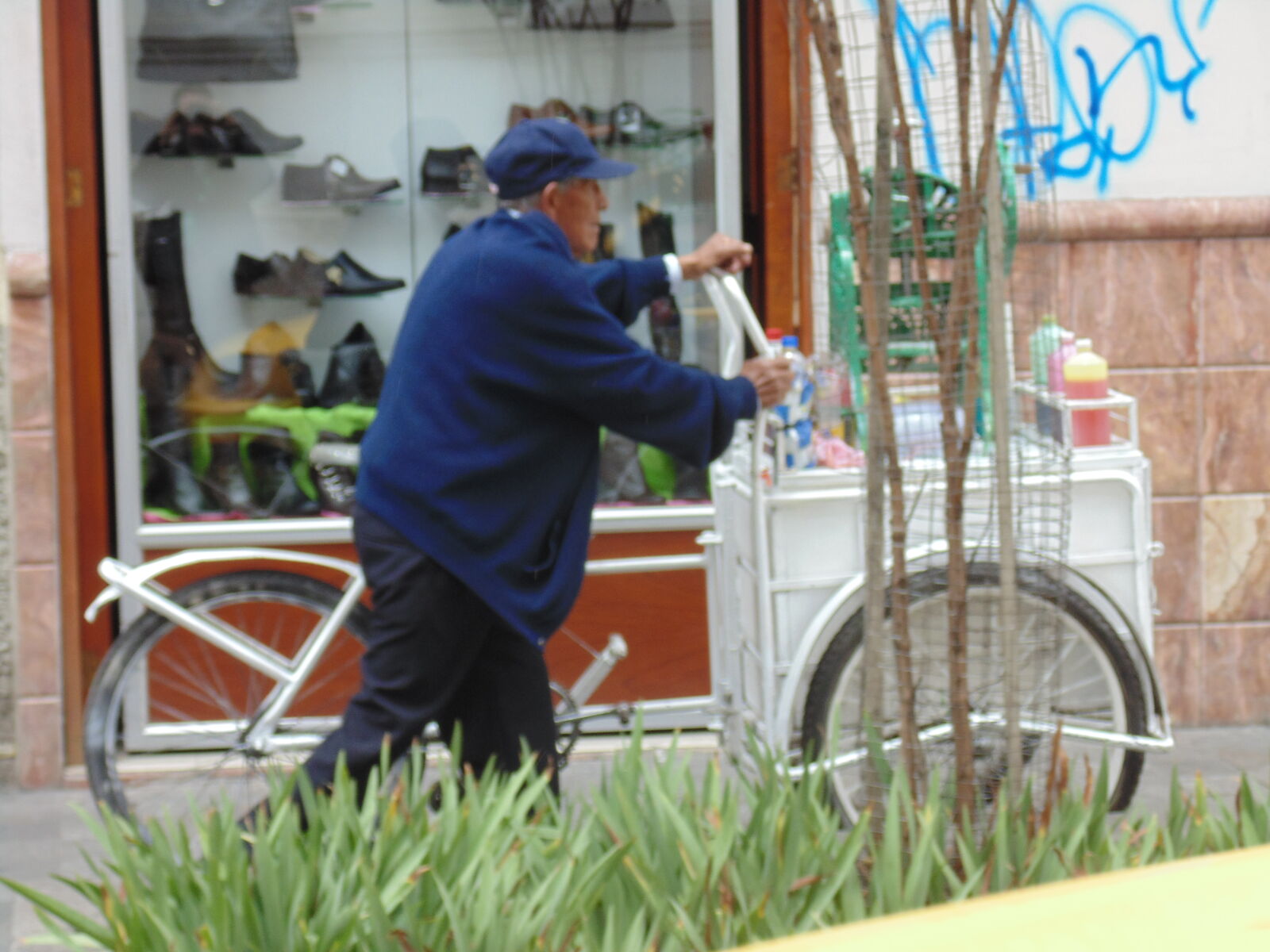 Sony Cyber-shot DSC-H200 sample photo. Hard, worker, old, peddler photography