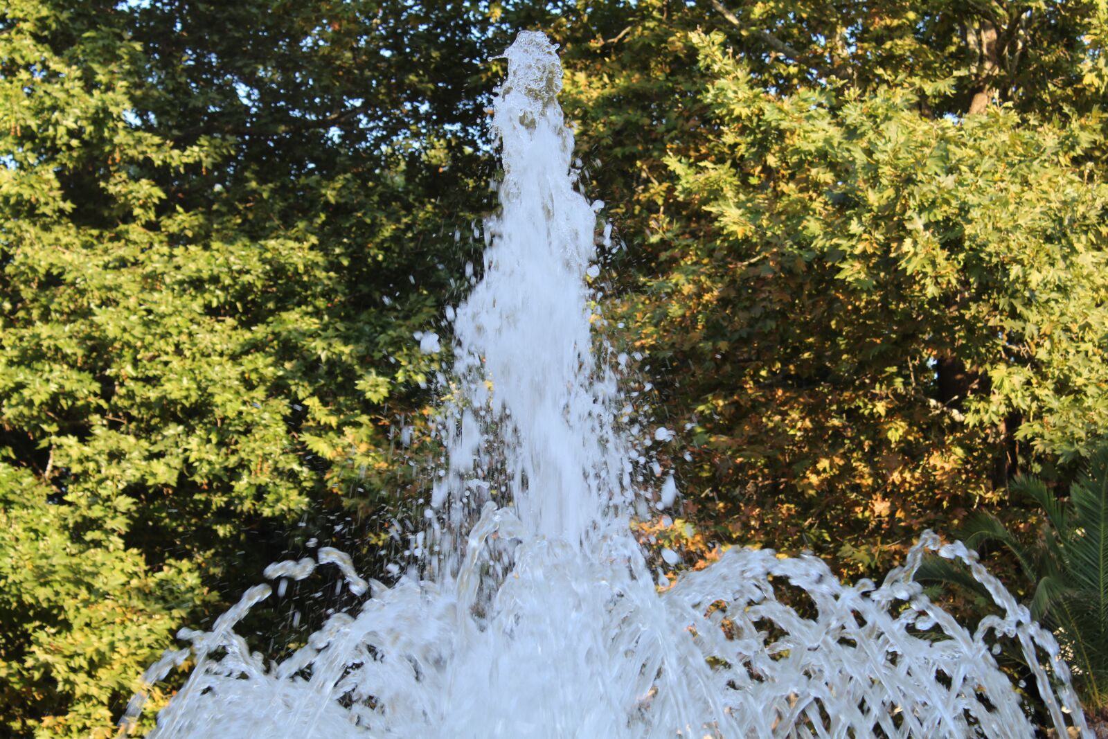 Canon EOS 1300D (EOS Rebel T6 / EOS Kiss X80) sample photo. Fountain, park, bulgaria photography
