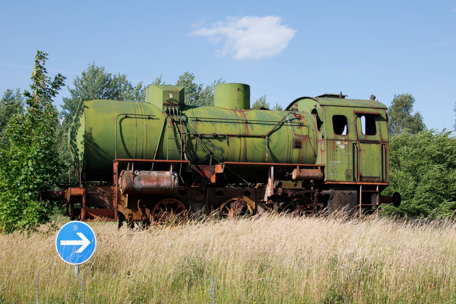 Canon EOS 60D sample photo. Loco, train, old train photography