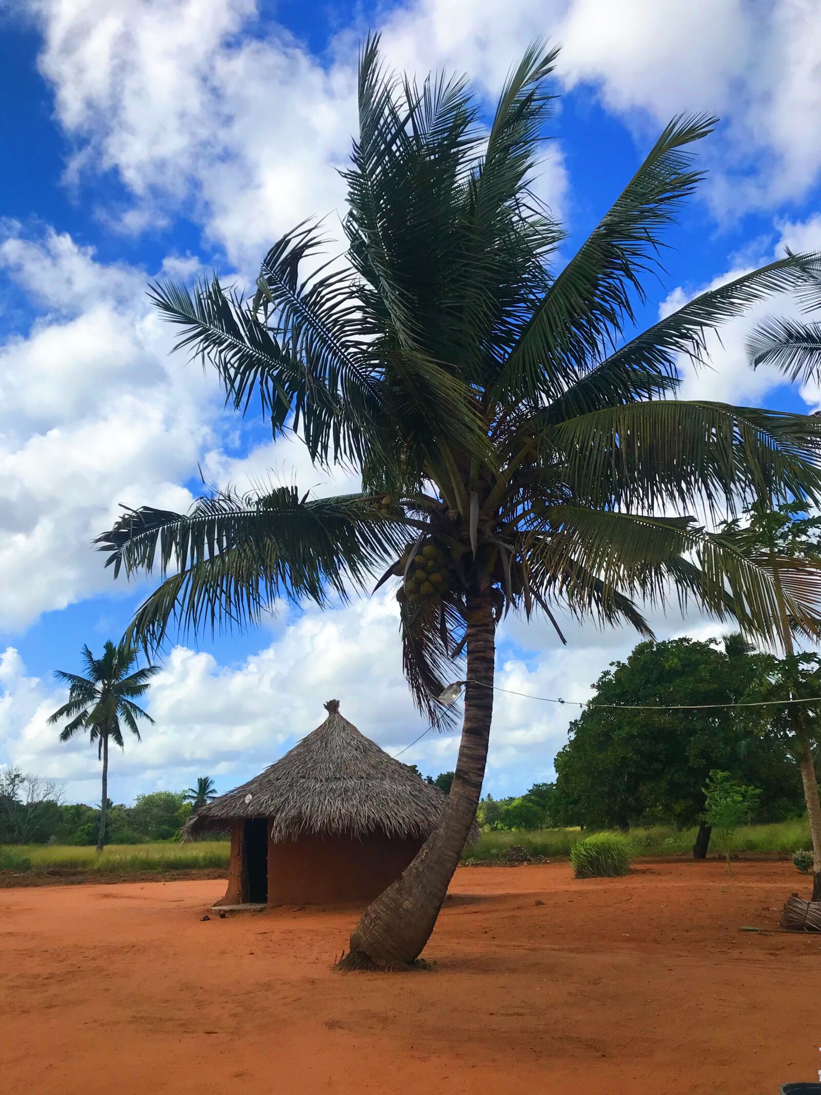 iPhone 7 Plus back dual camera 3.99mm f/1.8 sample photo. Africa, maputo, aldea photography