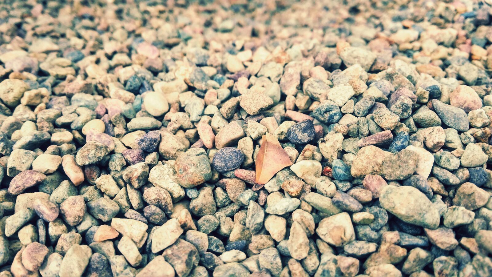Xiaomi Redmi 4A sample photo. Desktop, batch, nature photography
