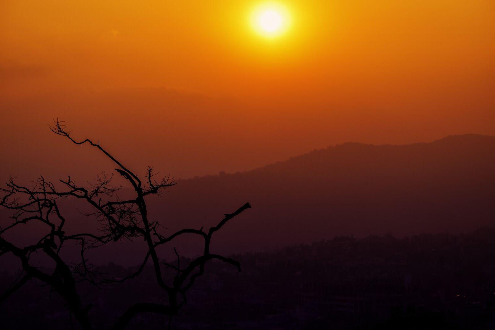 Nikon D5500 sample photo. Sunset, temple, tree photography