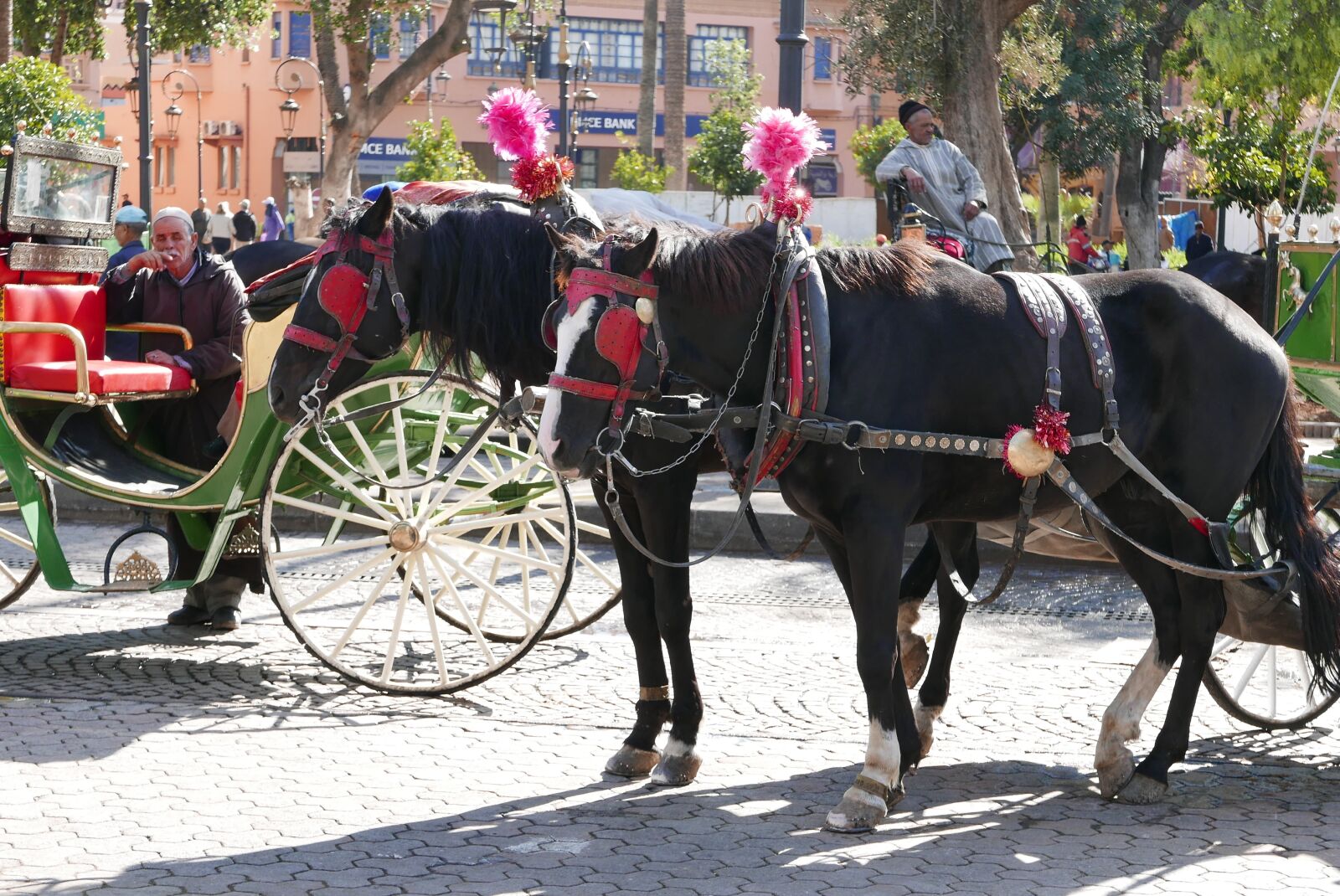 Panasonic Lumix DMC-LX100 sample photo. Marrakech, morocco photography