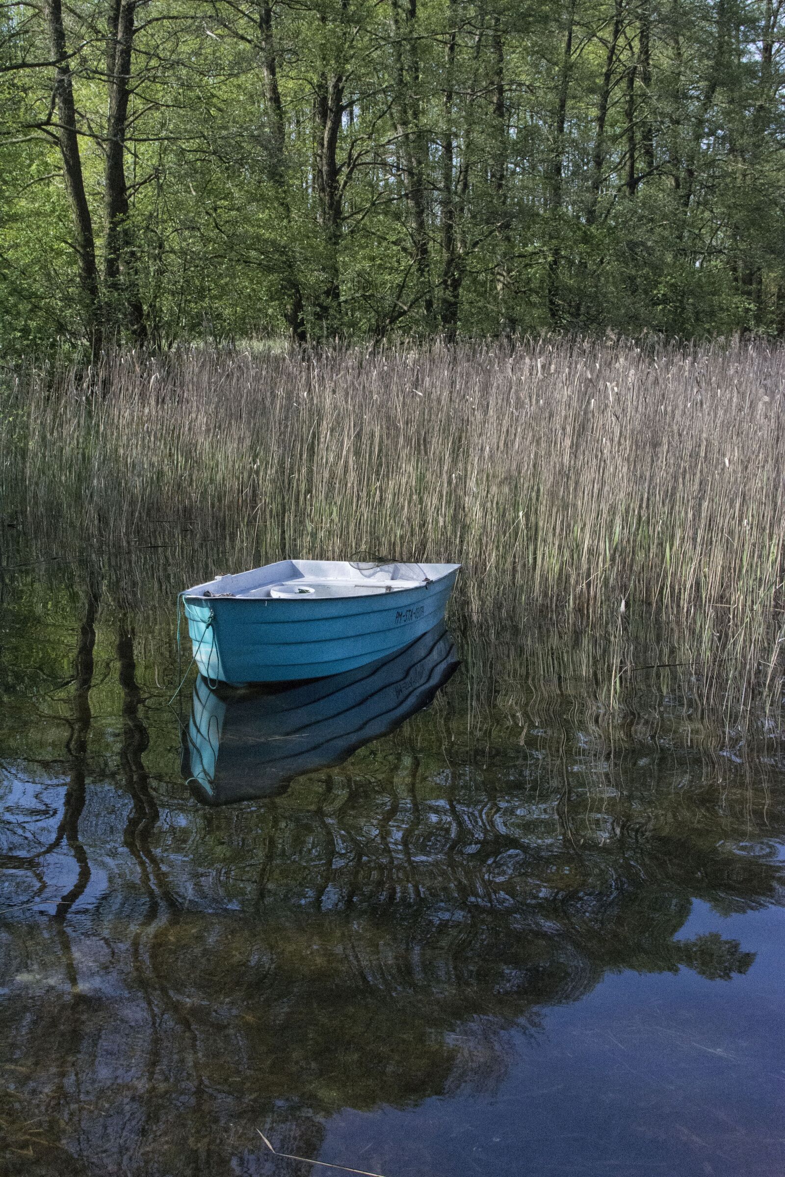 Nikon D7100 sample photo. Lake, water, reflection photography