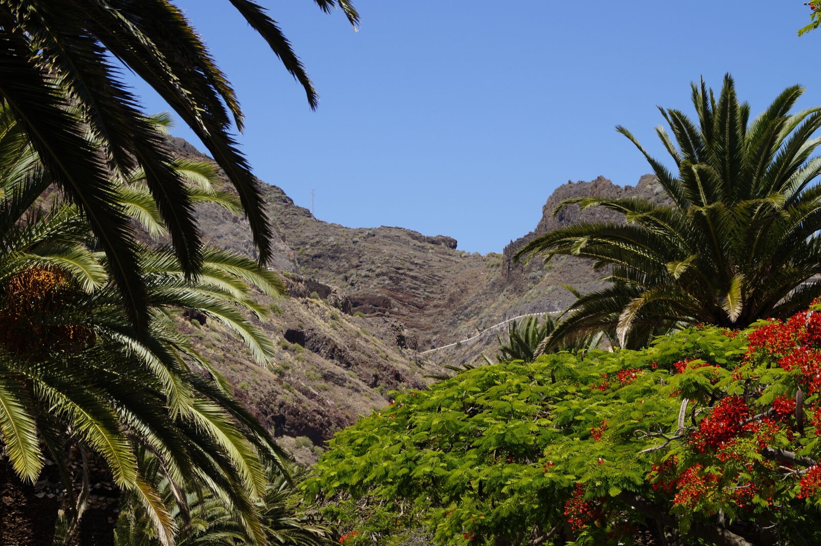 Sony SLT-A58 sample photo. Canary islands, tenerife, landscape photography