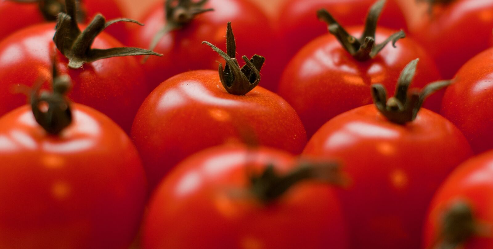 Sony Alpha DSLR-A390 sample photo. Tomatoes, red, fruit photography